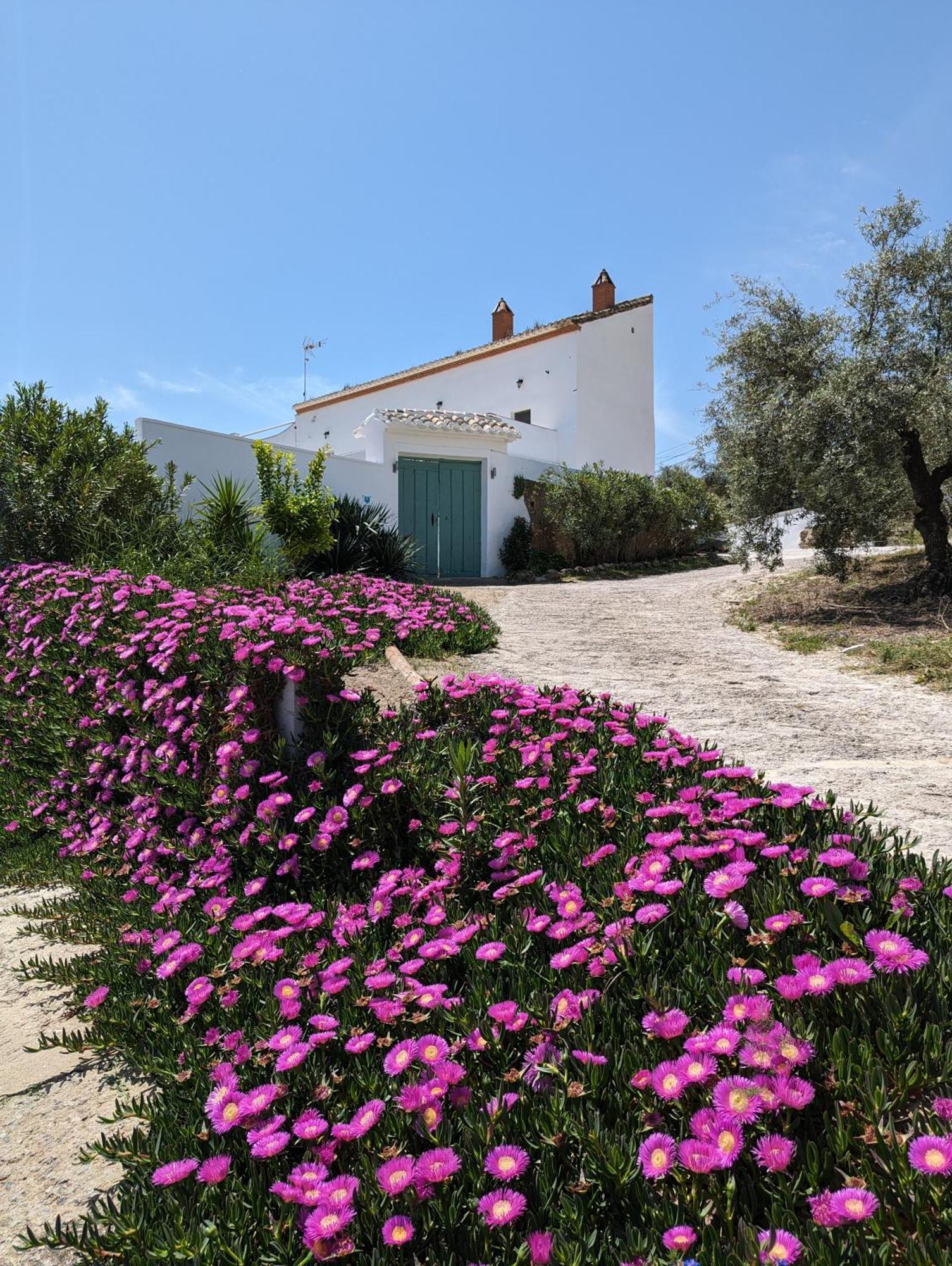 Casa Las Majadillas Иснахар Экстерьер фото